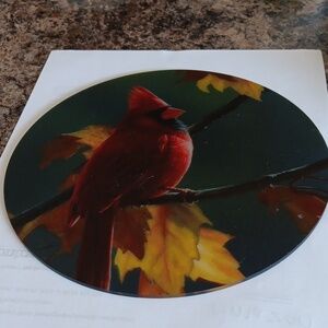 Cardinal plastic disc